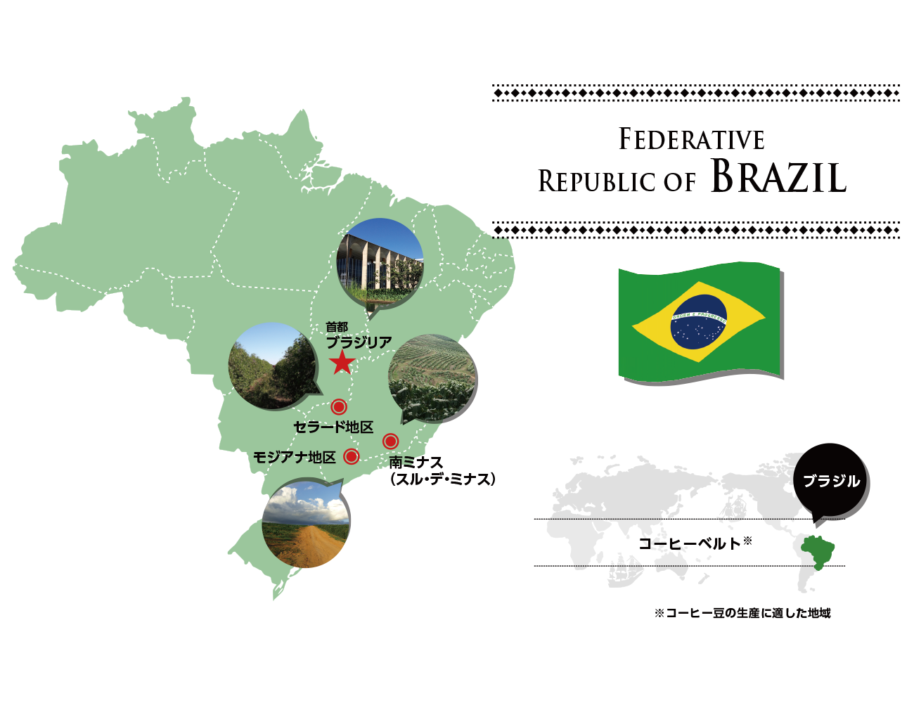 ブラジル Brazil ミカド珈琲商会
