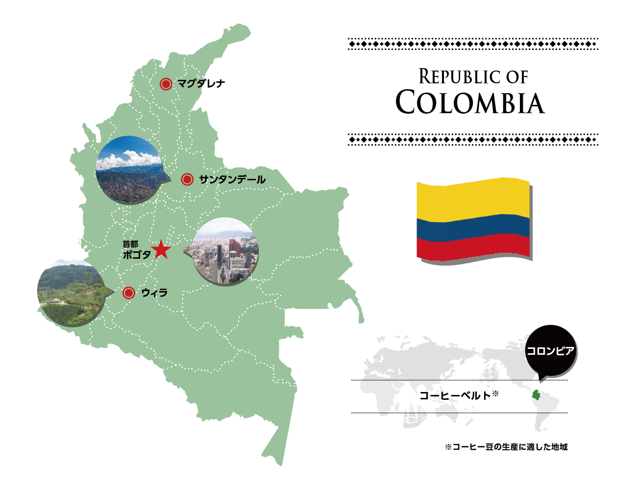 コロンビア Colombia ミカド珈琲商会