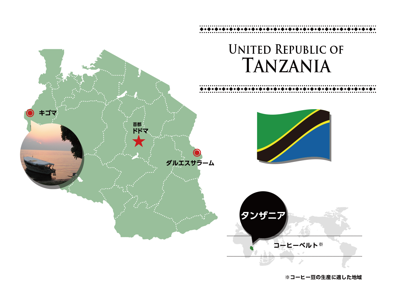 タンザニア Tanzania ミカド珈琲商会