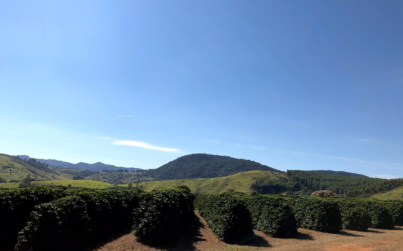 アリアンサ農園の風景