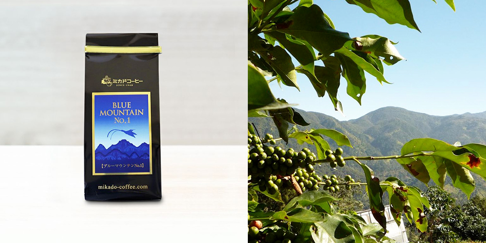 ブルーマウンテンNo.1