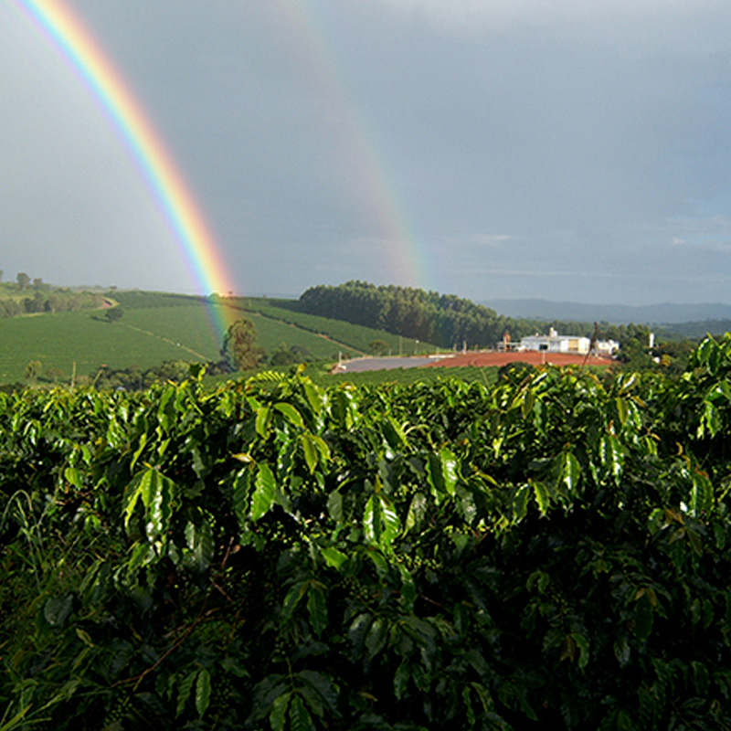 広大なブラジルの大地に虹がかかる様子