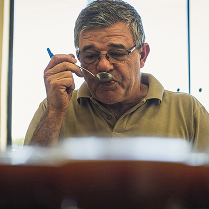  農園でのカッピングテスト